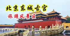 激情秒社乱伦中国北京-东城古宫旅游风景区